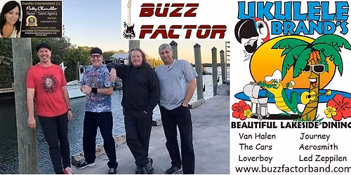 Buzz Factor at Ukulele Brands in Land O' Lakes