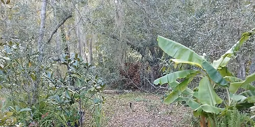 \ud83c\udf31 Permablitz at Stephanie and Bruce Gombrelli\u2019s House \u2013 Lecanto \ud83c\udf31