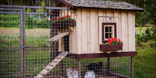 Backyard Hen Keeping Class