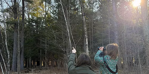 Family Bird Walk