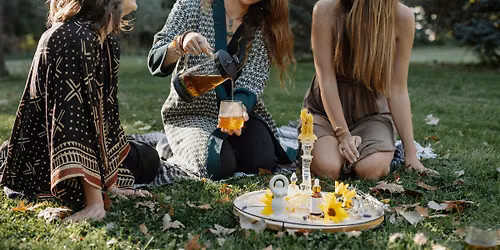 THE MEDICINE PICNIC