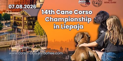 14. Cane Corso Championship