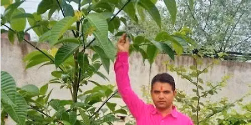 मैरिज 