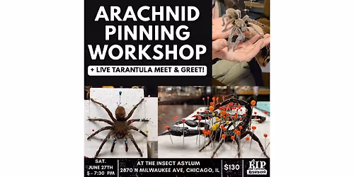 Scorpion & Tarantula Pinning Workshop + LIVE Tarantula Meet & Greet!