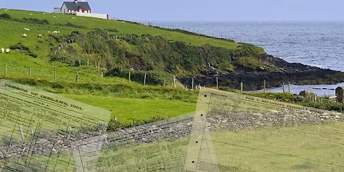 Irish Genealogy in Action: Tips, Tools & a 1926 Census "Party"