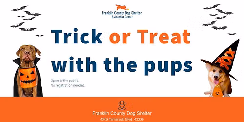 Trick-or-Treat with the Pups