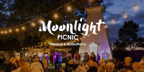 Moonlight Picnic | Stardust & Bellbottoms