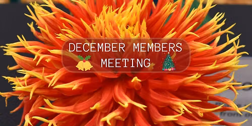 December 2026 - Members Meeting