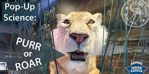 Pop-Up Science: Purr or Roar