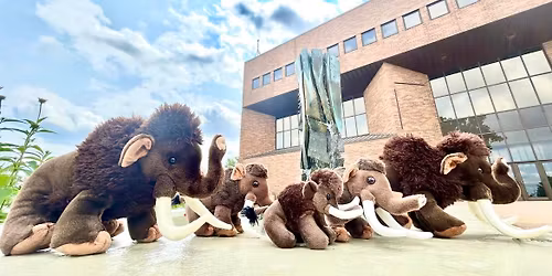 Story Time - The Lorax