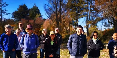 Foraging Walk part 2