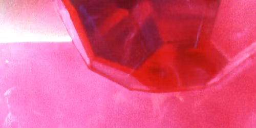 Tourist in Englewood