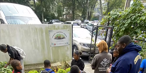 A Garden Party in the Codman Micro Forest