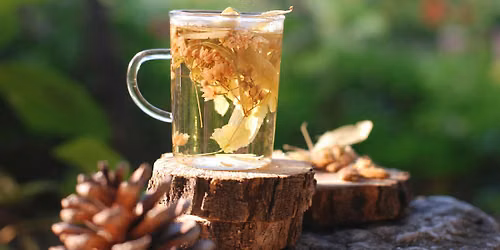 Summer Forage Tea Party