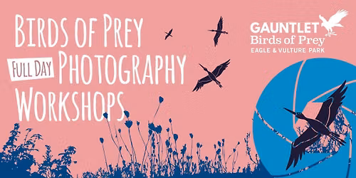 *FEW PLACES LEFT* 1 DAY PHOTOGRAPHY WORKSHOP with Gary Jones Wildlife Photography - Sun 23\/08\/26