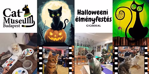 \ud83c\udf83\ud83d\udc3e Halloweeni \u00c9lm\u00e9nyfest\u00e9s Cic\u00e1kkal a Cat Museumban! \ud83d\udc3e\ud83c\udf83