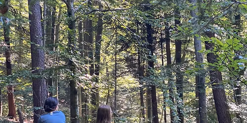 Wyprawa do Serca Lasu - OSADZENIE - le\u015bny retreat i kalibracja kierunku \u017cycia 