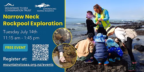 Narrow Neck Rockpool Exploration