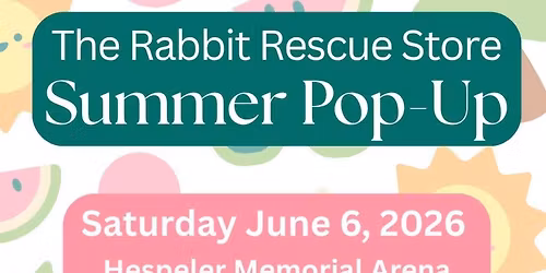 Rabbit Rescue Spring Pop Up!