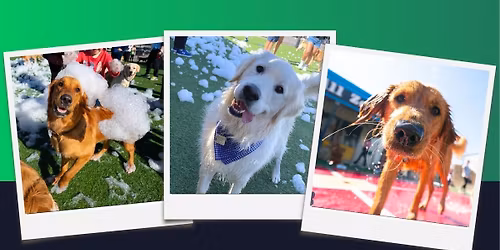 Houston Golden Party