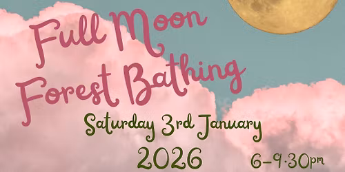 Full Moon Forest Bathing