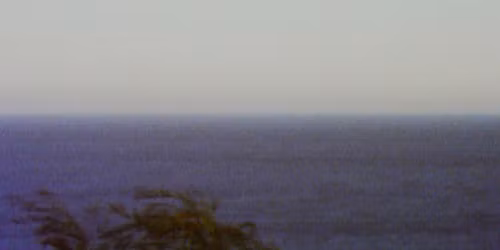 Tame Impala in Melbourne