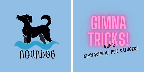Gimna Tricks - gimnastyka i psie sztuczki