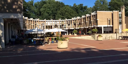 Reston Readings Nov. 2025 edition