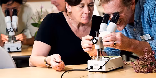 Botany for Gardeners