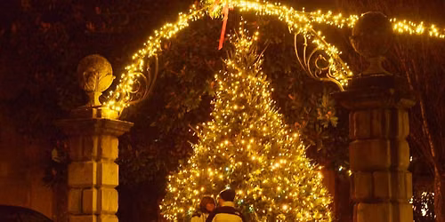 Christmas Lights Switch On