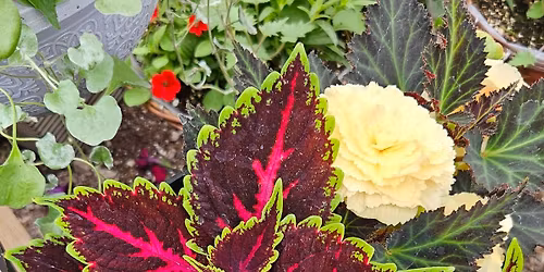 2026 Opening Day At Hope Farm & Garden