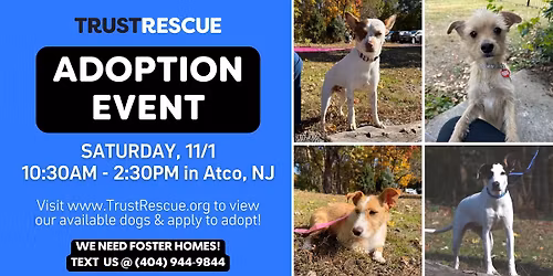 🐶 ADOPTION EVENT 🐾 by Trust Rescue