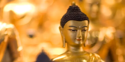 Free Guided Meditation | Newcastle