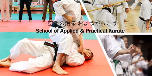 Iain Abernathy (8th Dan) Seminar Kilkenny, Watershed.