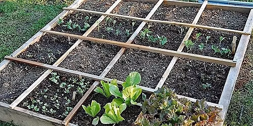 Square Foot Gardening