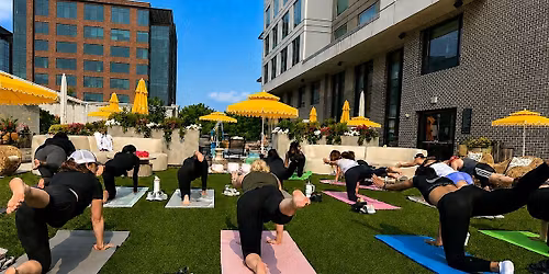 The Collective Pulse: A Serenity Sunday Wellness Social