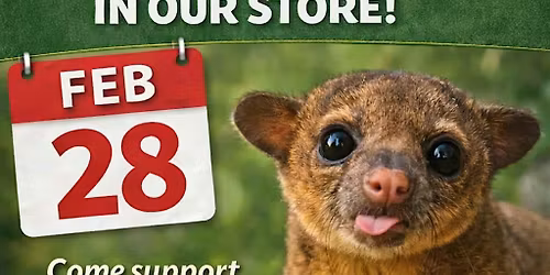 Meet A Kinkajou