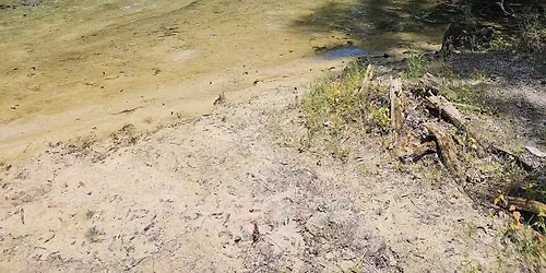 Exploring Citrus Blue Springs