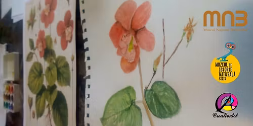 Atelier de Ilustra\u021bie Botanic\u0103 