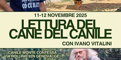 La lettura del cane di canile  - Seminario con Ivano Vita