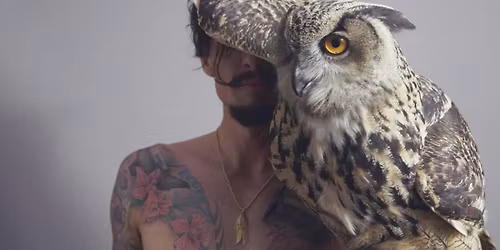 Justin Hawkins Rides Again... Again