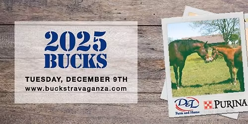 13th Annual Buckstravaganza