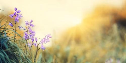 Spring Equinox Sound Healing Meditation 