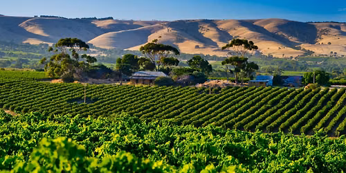 McLaren Vale Uncorked with Darryl from Liquor Down Under