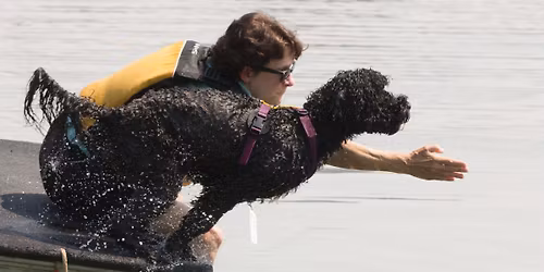 PWDCNC 2025 Scent Work trial