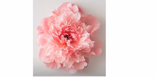 Naturopathic Support for Conception & Fertility