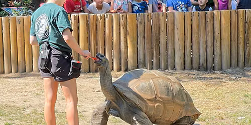 Dr. Zoolittle Zoo Camp (Ages 7-9)
