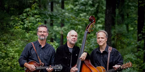 The Wayward Bills at the Crazy Rooster Brewing Company