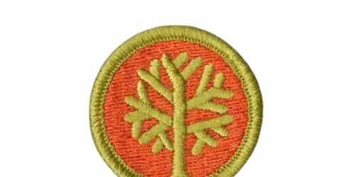America's 250 Summer Merit Badge Series - Genealogy Merit Badge