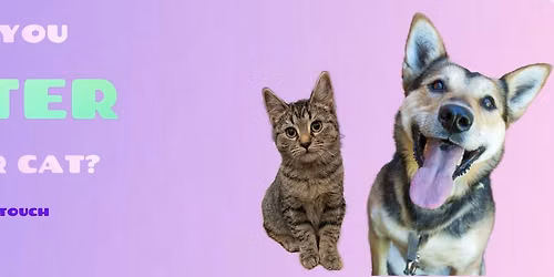Pet Item Sale!